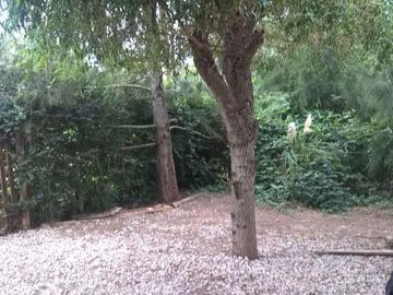 Quinta en venta - 2 Dormitorios 1 Baño - 1,000 mts2 - Barrio El Rodeo