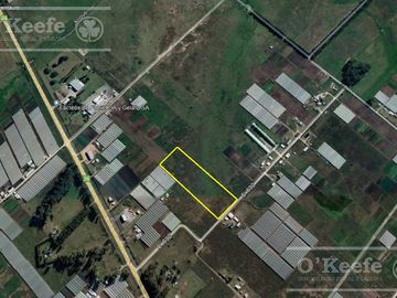 Chacra Hortícola en Venta - La Plata 3,1 has