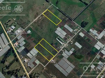 Chacra Hortícola en Venta - La Plata 3,1 has