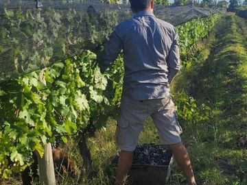Finca de 15 Ha. en Las Paredes con viñedos orgánicos y vistas únicas