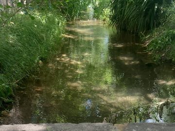 Finca de 15 Ha. en Las Paredes con viñedos orgánicos y vistas únicas