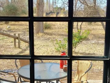 Finca de 15 Ha. en Las Paredes con viñedos orgánicos y vistas únicas