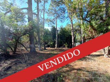 |LOTE DE 1000MTS²| |BARRIO RESIDENCIAL| |EL PINAR| |LA LUCILA|