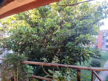 Depto. de 3 Amb. a la venta en Cañuelas