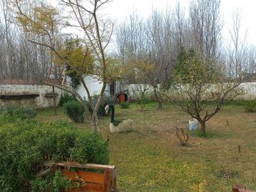 Casa y Departamento en venta en Las Toninas