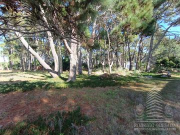|LOTE DE 1000MTS²| |BARRIO RESIDENCIAL| |EL PINAR| |LA LUCILA|