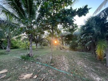 TERRENO EN VENTA EN MÉRIDA YUCATÁN EN TEYA KANASÍN A UN LADO DEL TREN MAYA