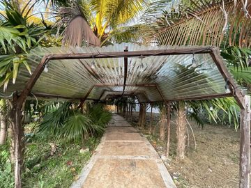 TERRENO EN VENTA EN MÉRIDA YUCATÁN EN TEYA KANASÍN A UN LADO DEL TREN MAYA