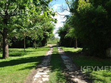 Venta Casa Quinta de 11.000 m2 en Maschwitz