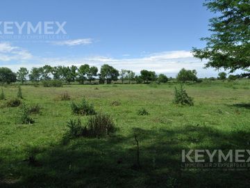 Venta Casa Quinta de 11.000 m2 en Maschwitz