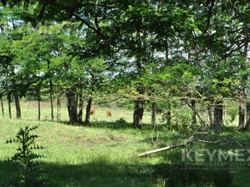 Venta Casa Quinta de 11.000 m2 en Maschwitz