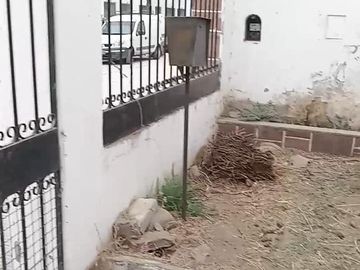 VENTA OPORTUNIDAD CASA ¡¡¡ PROVINCIA SALTA -SALTA , ZONA CENTRO, 6 CUADRAS DE LA CATEDRAL
