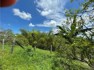 SE VENDE FINCA EN ALCALA  CON 8 CUADRAS