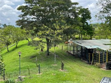 SE VENDE FINCA EN ALCALA  CON 8 CUADRAS