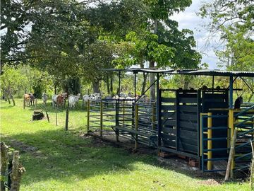 SE VENDE FINCA EN ALCALA  CON 8 CUADRAS