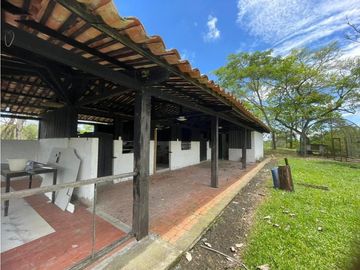 SE VENDE FINCA EN ALCALA  CON 8 CUADRAS