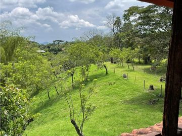 SE VENDE FINCA EN ALCALA  CON 8 CUADRAS