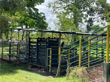SE VENDE FINCA EN ALCALA  CON 8 CUADRAS