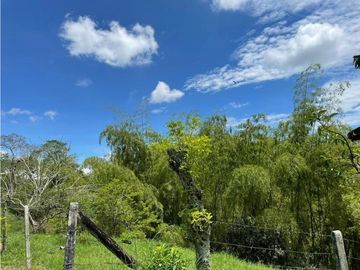 SE VENDE FINCA EN ALCALA  CON 8 CUADRAS