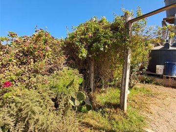 Parcela en Venta en Las Rojas, La Serena