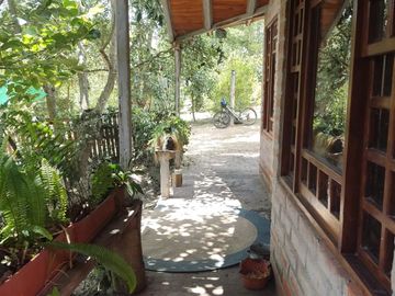 Venta Quinta Guayllabamba con árboles frutales