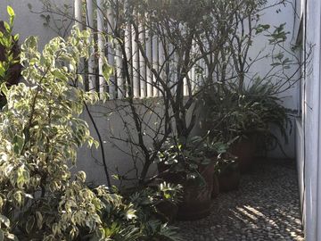 Casa en venta en cerrada.