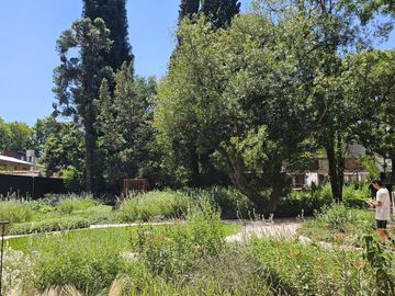 DEPARTAMENTO en VENTA Y ALQUILER en DOMUS PARQUE con VIST AL PARQUE Y AL RIO.