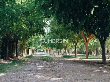 Complejo de Cabañas de primera categoría con piscina cubierta en Rama Caída