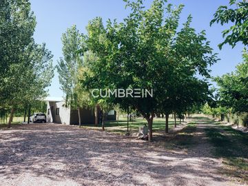 Complejo de Cabañas de primera categoría con piscina cubierta en Rama Caída