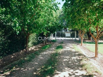 Complejo de Cabañas de primera categoría con piscina cubierta en Rama Caída