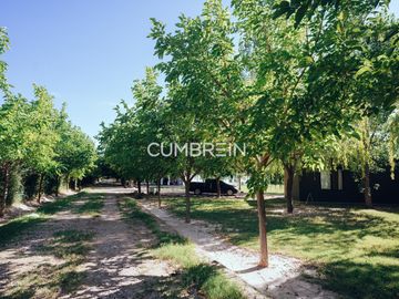 Complejo de Cabañas de primera categoría con piscina cubierta en Rama Caída