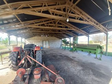 Campo - Caleu Caleu