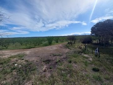 Campo - Caleu Caleu