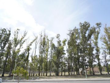 Edificio Comercial en venta - 6 Dormitorios 4 Baños - 479Mts2 - Bahía Blanca
