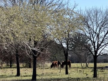 Chacra en Venta de 3 hectáreas. Casa con pileta. Country Las Vizcachas, Exaltación de la Cruz