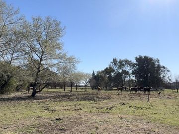 Chacra en Venta de 3 hectáreas. Casa con pileta. Country Las Vizcachas, Exaltación de la Cruz