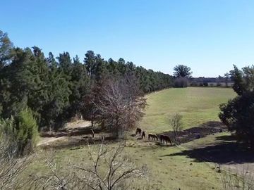 Chacra en Venta de 3 hectáreas. Casa con pileta. Country Las Vizcachas, Exaltación de la Cruz