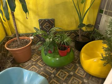 PH en Palermo