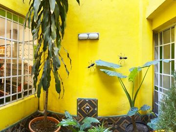 PH en Palermo