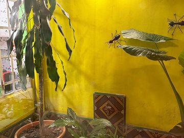 PH en Palermo