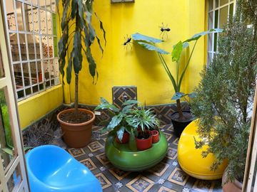 PH en Palermo