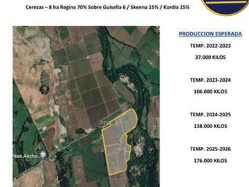 Agrícola en Venta en KM 1.5 CAMINO HACIA RIO CLARO