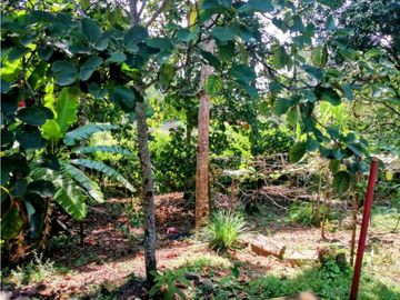 VENTA DE CASA INDEPENDIENTE EN SOPETRAN