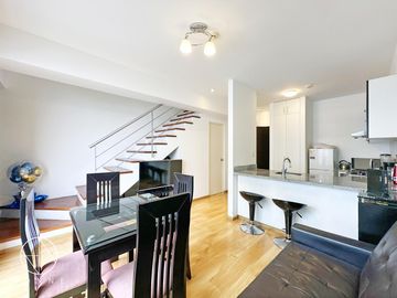 Departamento - Lince