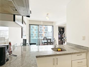 Departamento - Lince