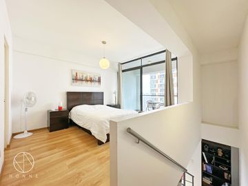 Departamento - Lince