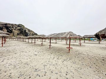 Casa - ASIA