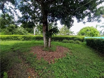 VENTA DE FINCA INDEPENDIENTE EN SOPETRAN