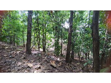 VENTA DE FINCA EN SANTA FE DE ANTIOQUIA