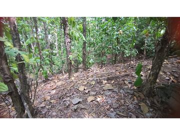 VENTA DE FINCA EN SANTA FE DE ANTIOQUIA